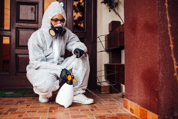 Reliable Wasp Removal contractor in Nevada, TX by Show Me Pest Control